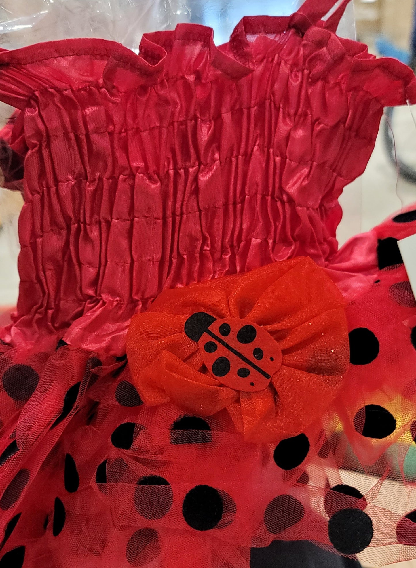 Ladybug 3 piece set
