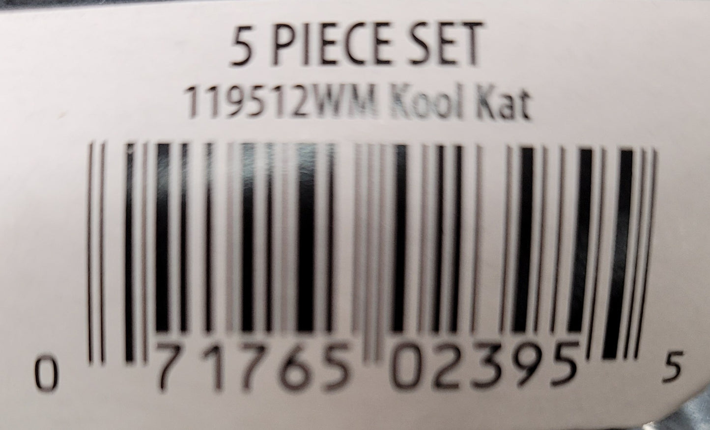Kool Kat Costume