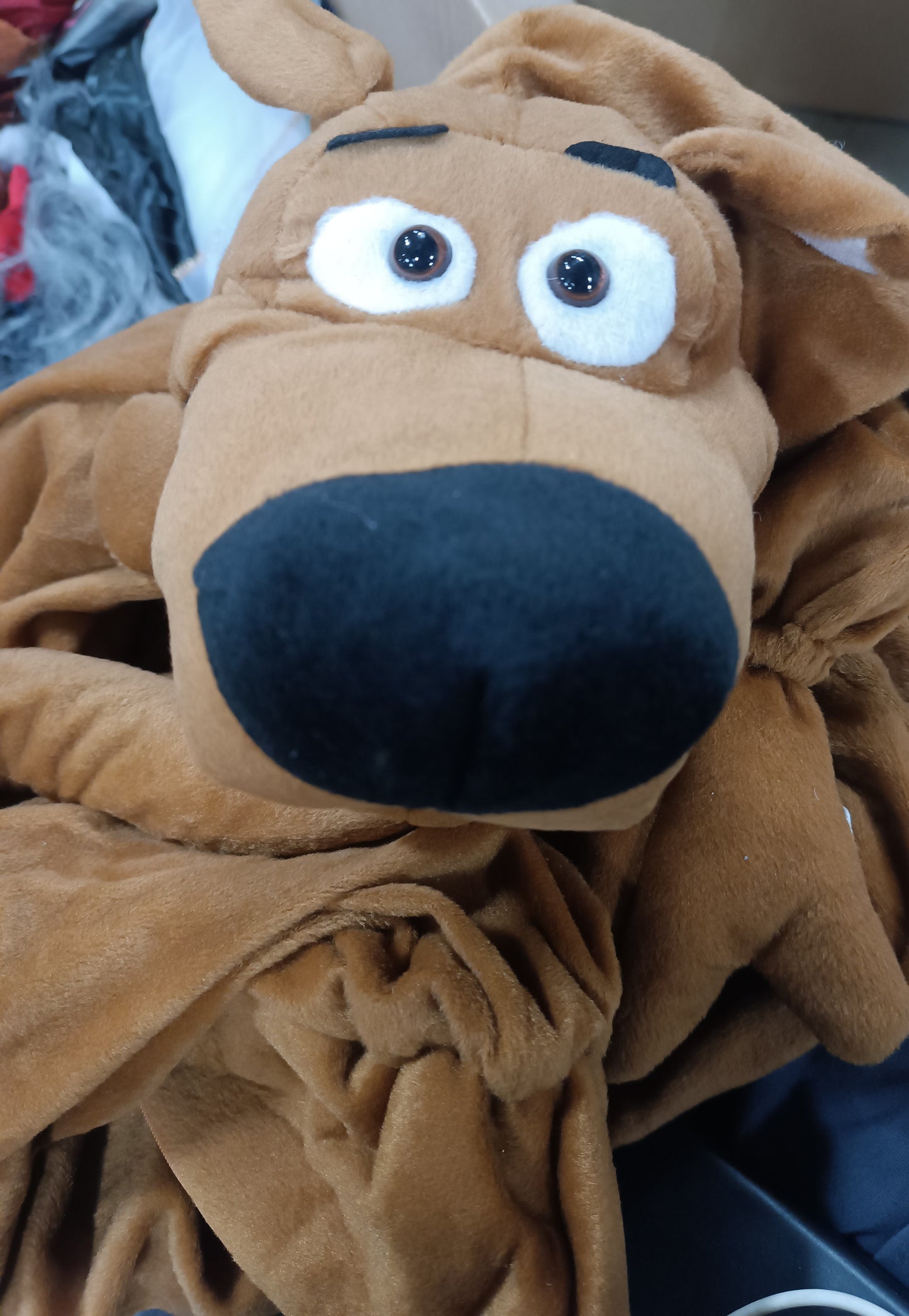 Scooby Doo Small