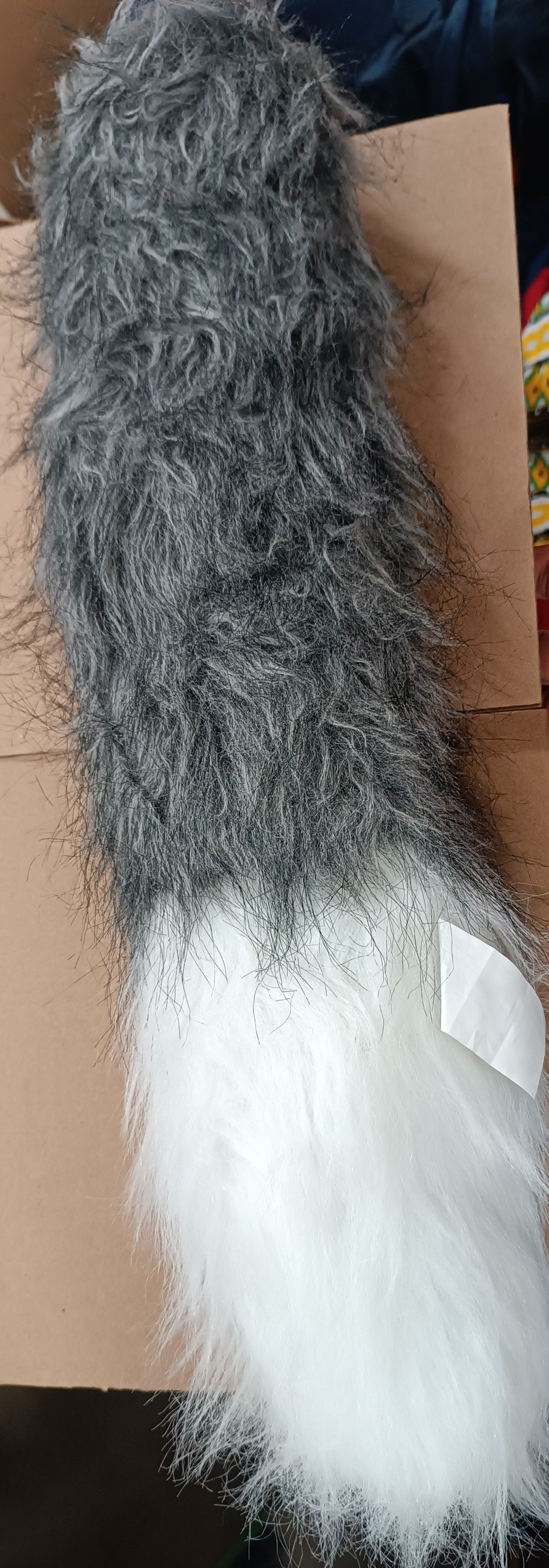 Tail grey and white