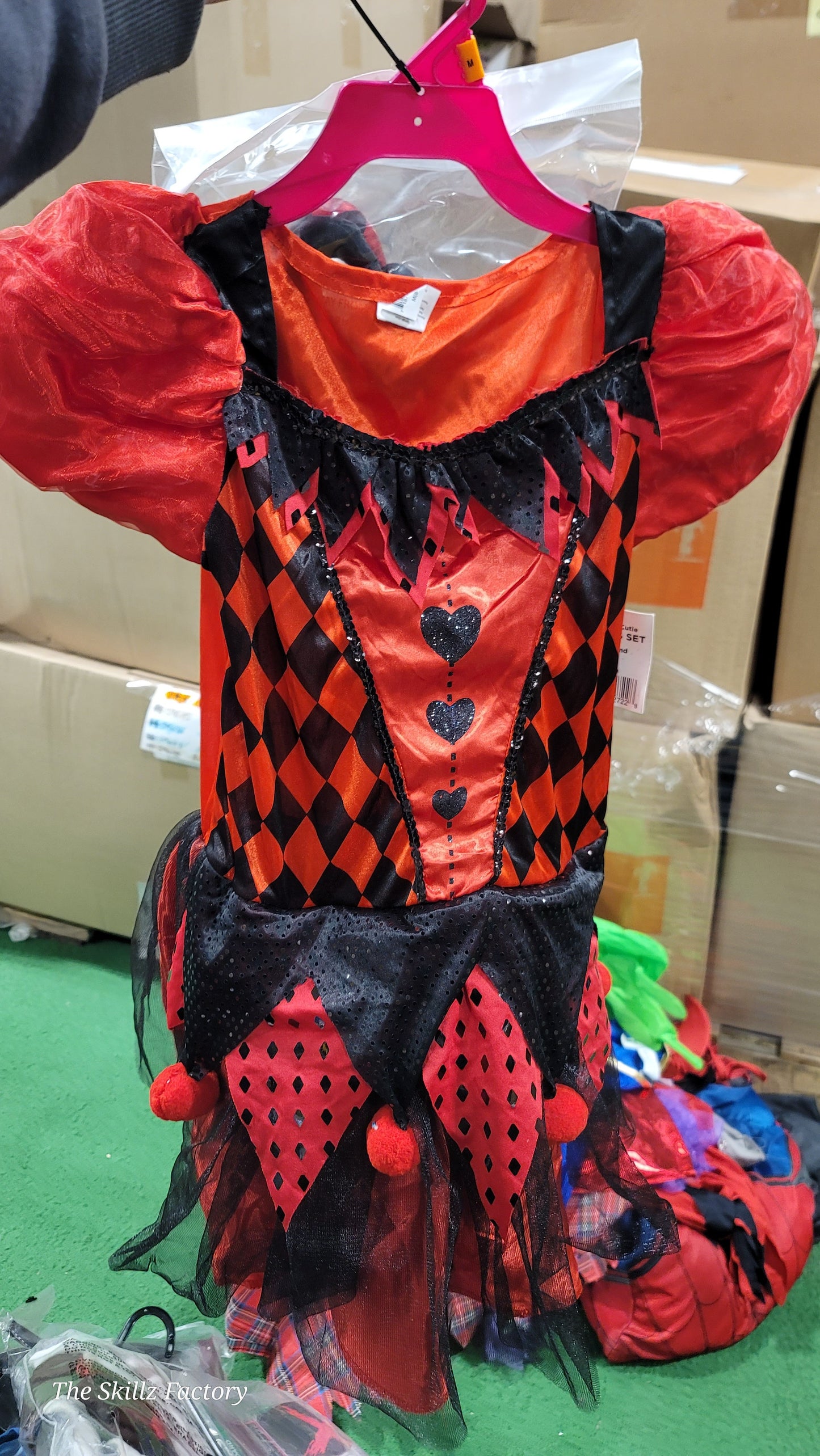 Harlequin cutie