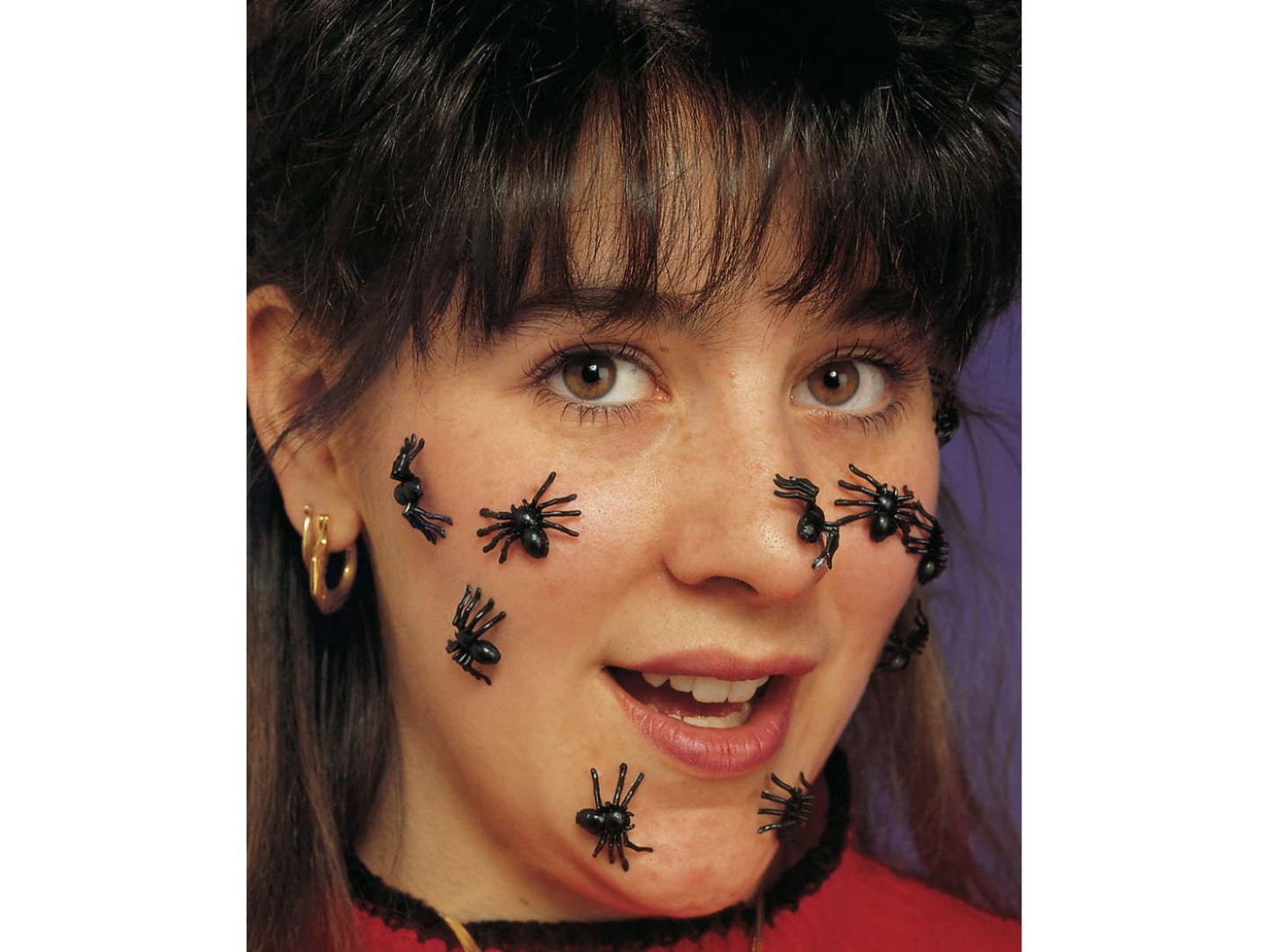 Night Creatures-Scary Spiders