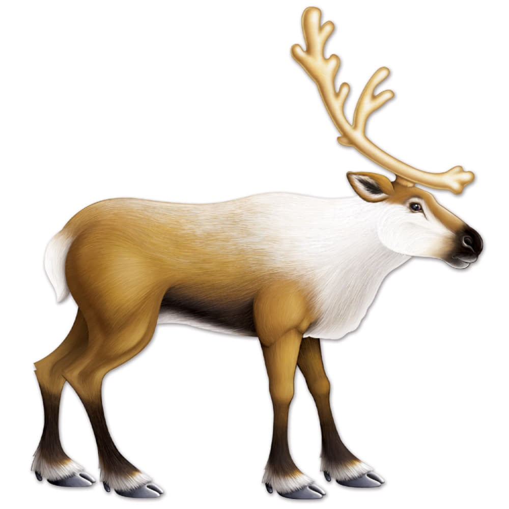 Reindeer Jointed Cutout