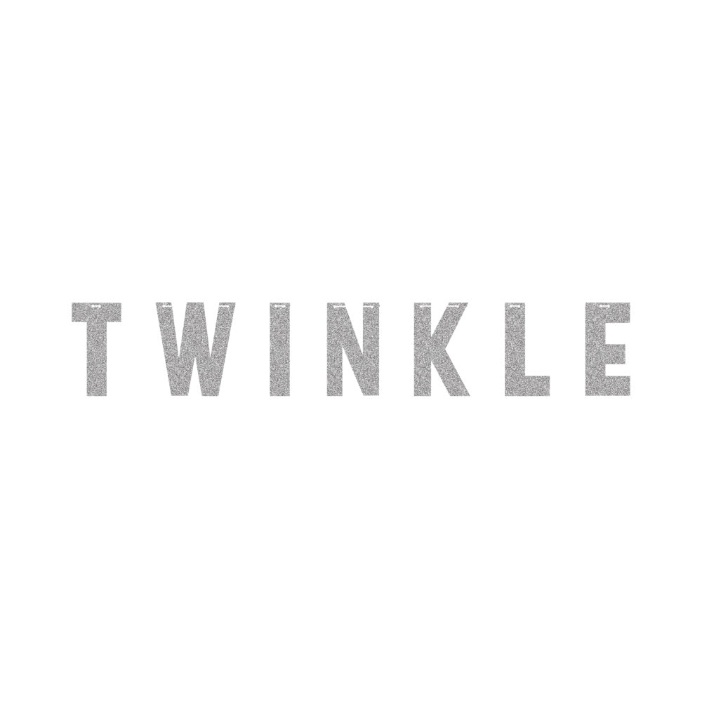 Twinkle" 1 Little Str Boy Banner