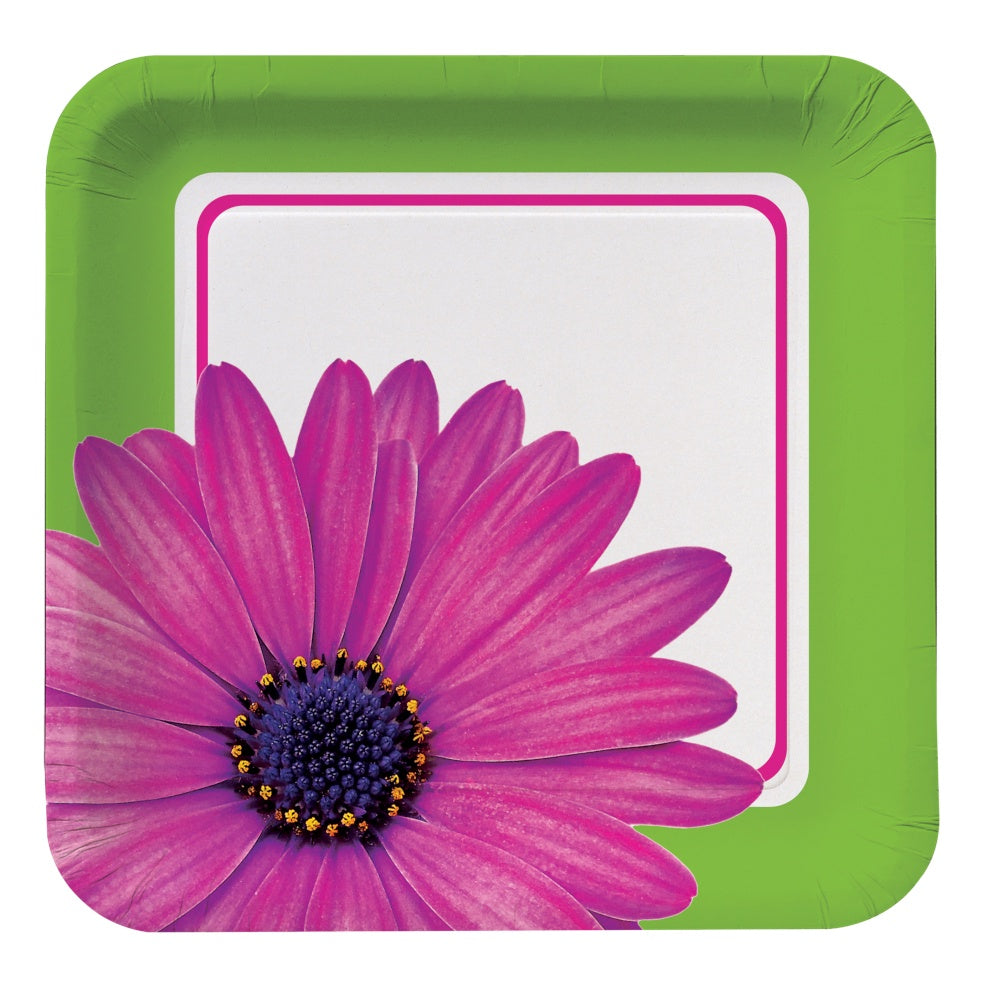 Daisy Power 10In Square Plates/Disc