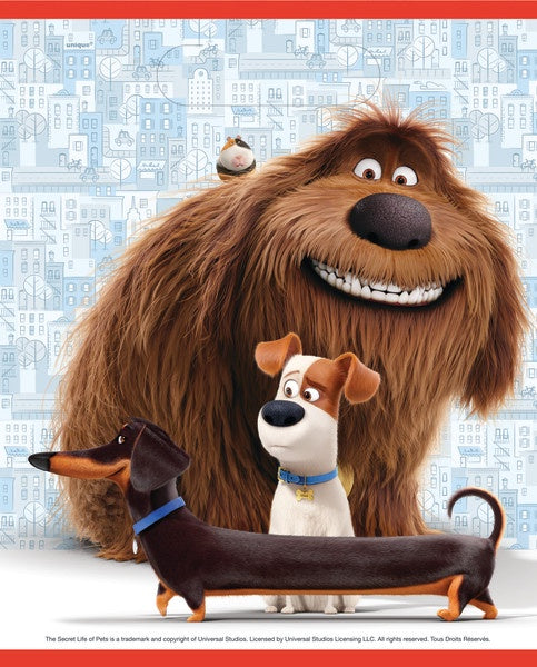 Secret Life Of Pets Loot Bags