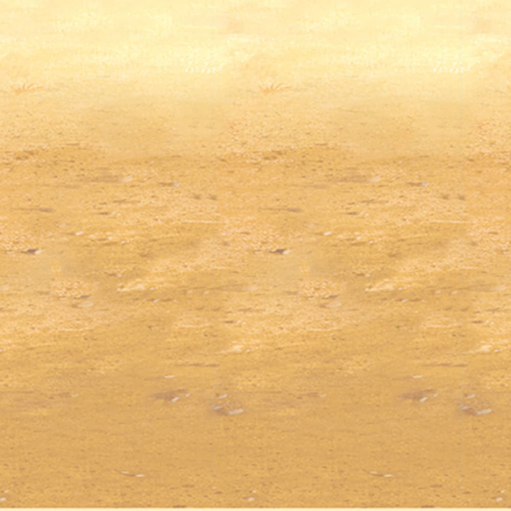 Desert Sand Backdrop - Insta - Theme