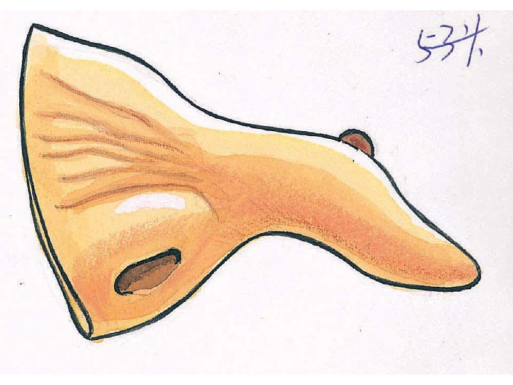 Witch Nose With Wart