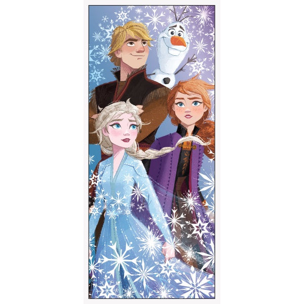 Disney Frozen 2 Door Poster