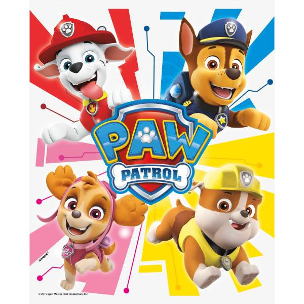 8 Paw Patrol Lootbags