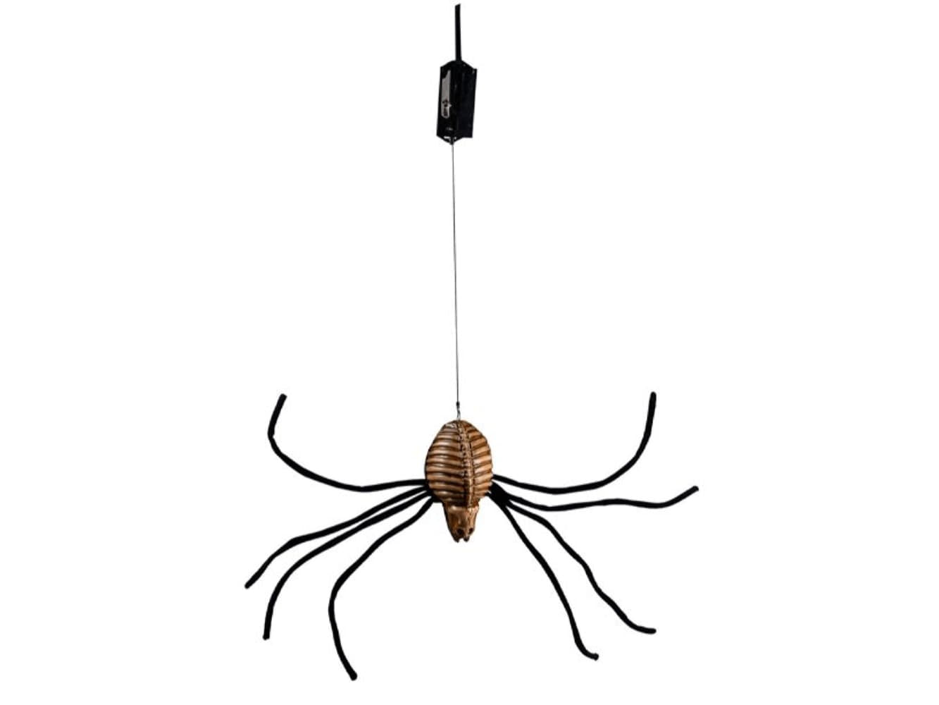 Drop-Down Spider