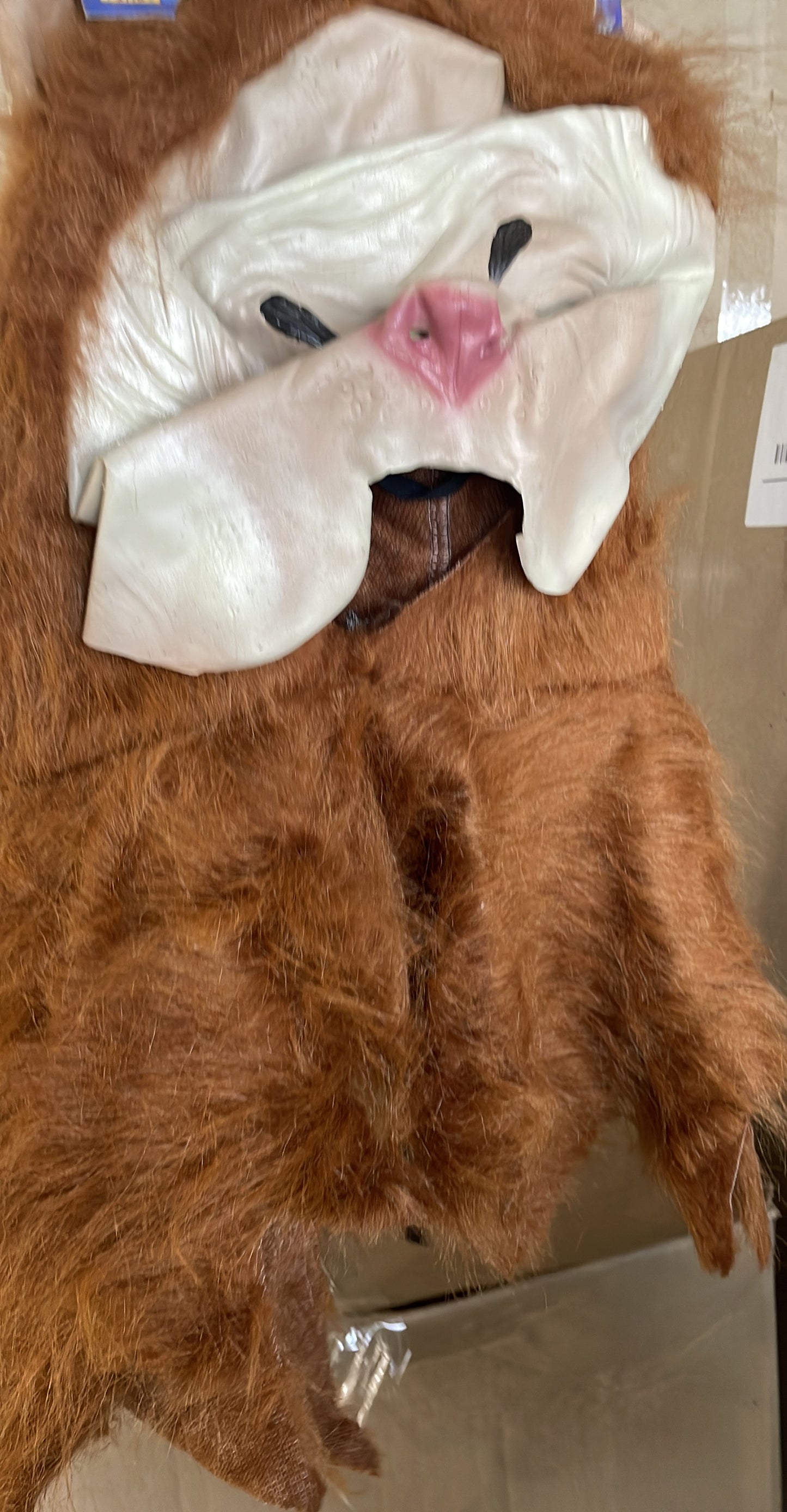 Cowardly lion