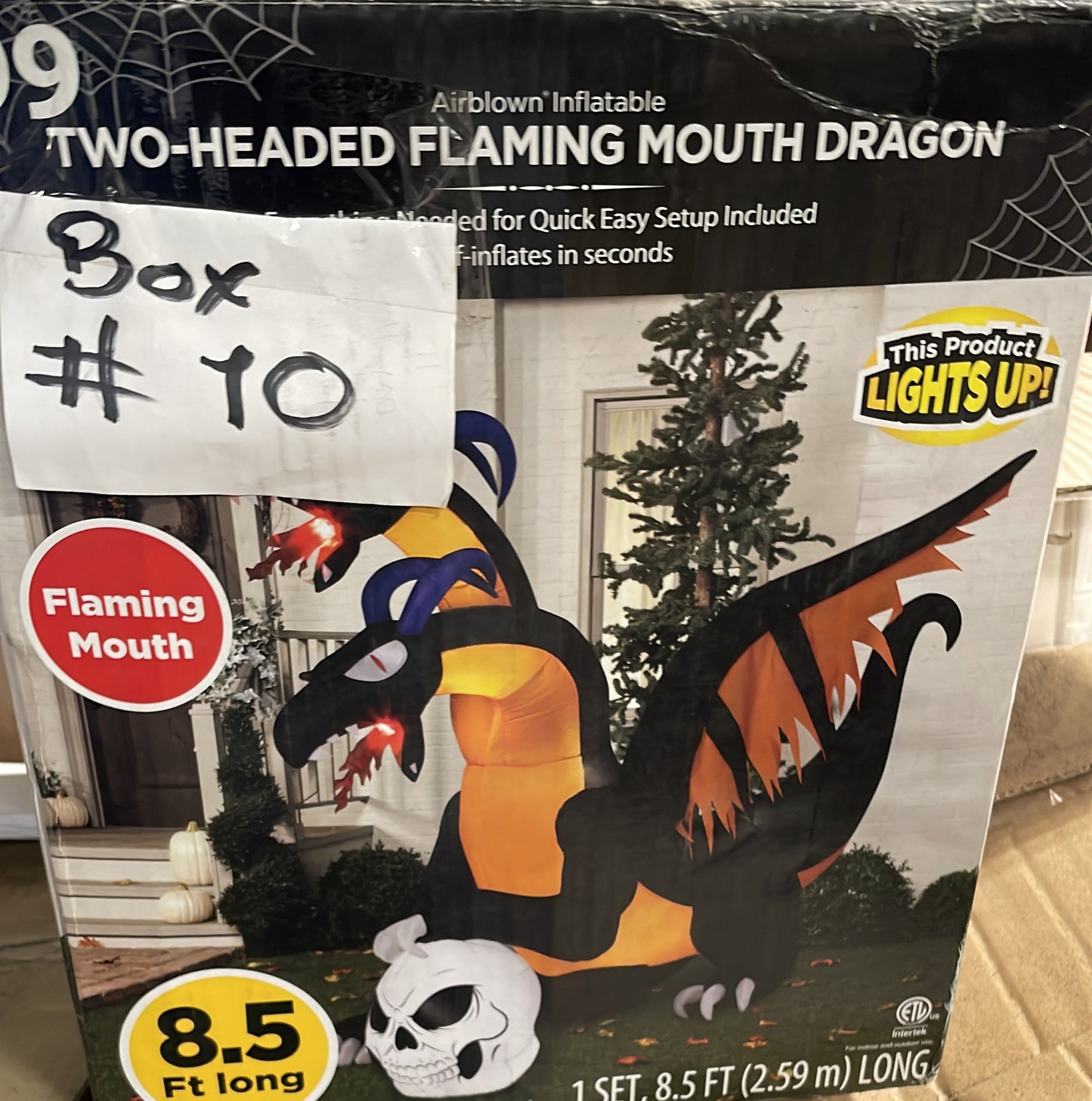 Fire breather dragon