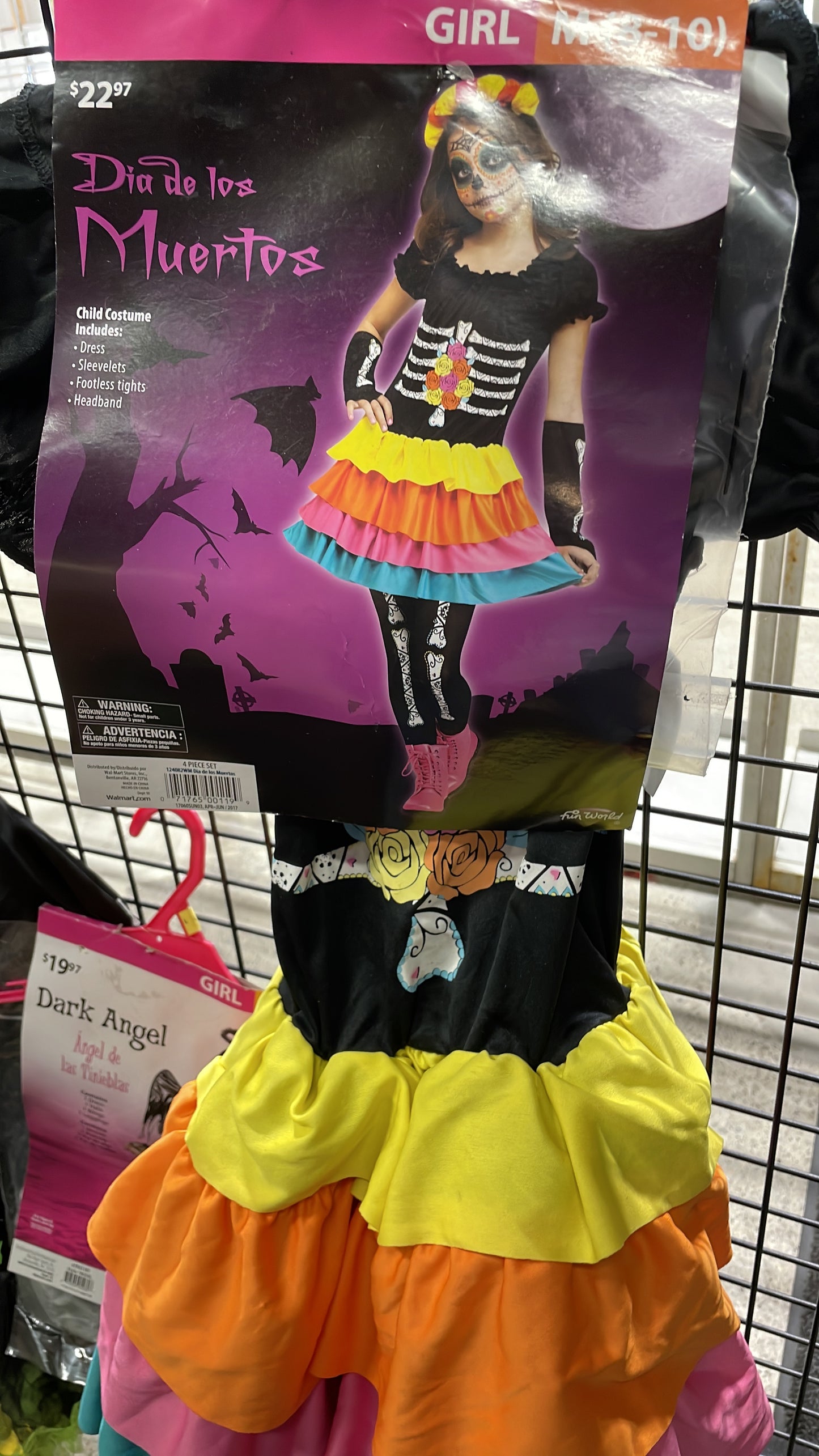 Dia de los Muertos