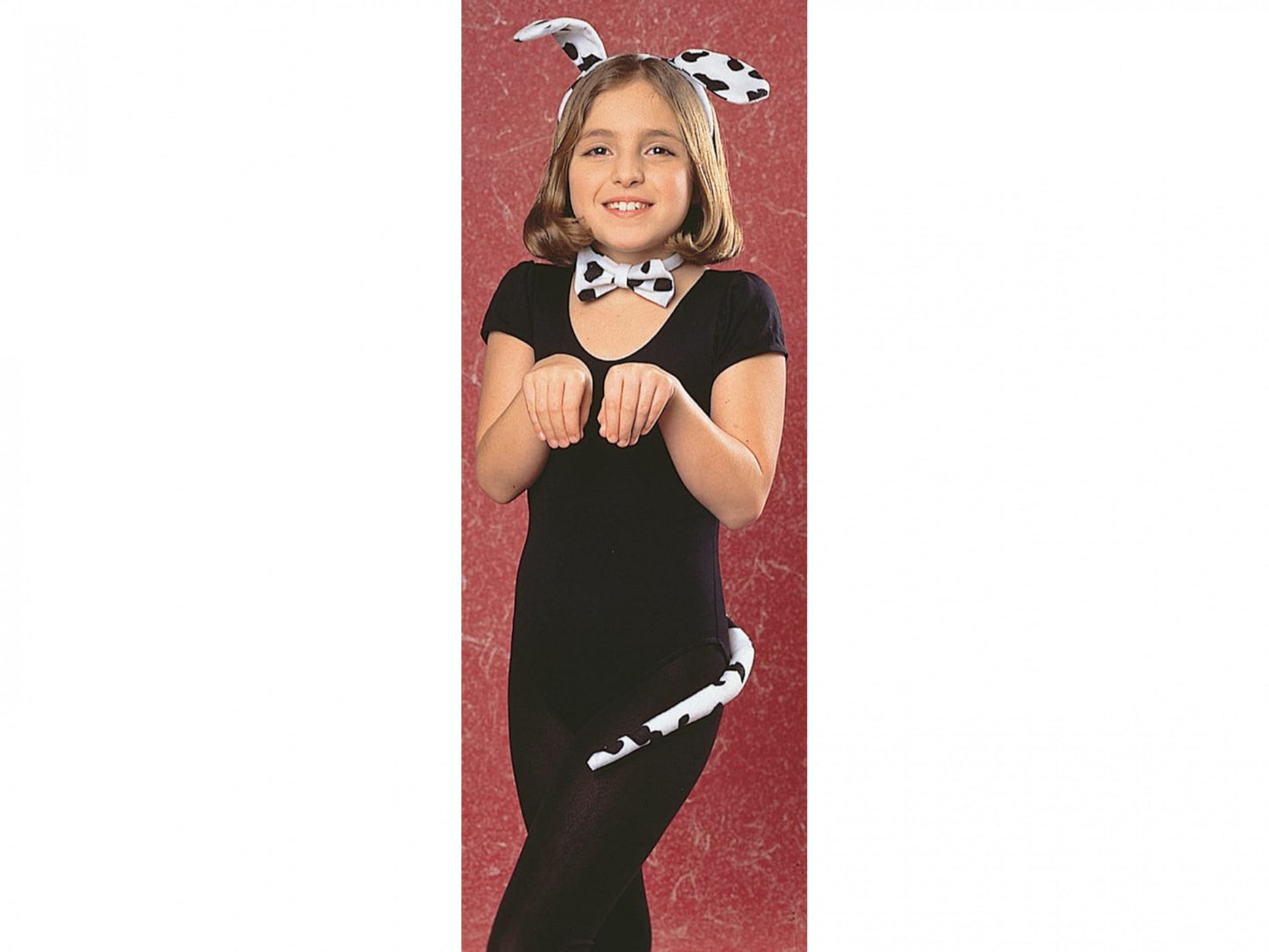 Dalmation Accessory Kit
