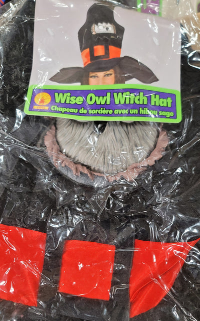 Wise owl witch hat