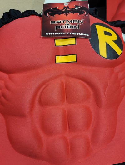 BATMAN & Robin Costume 17017