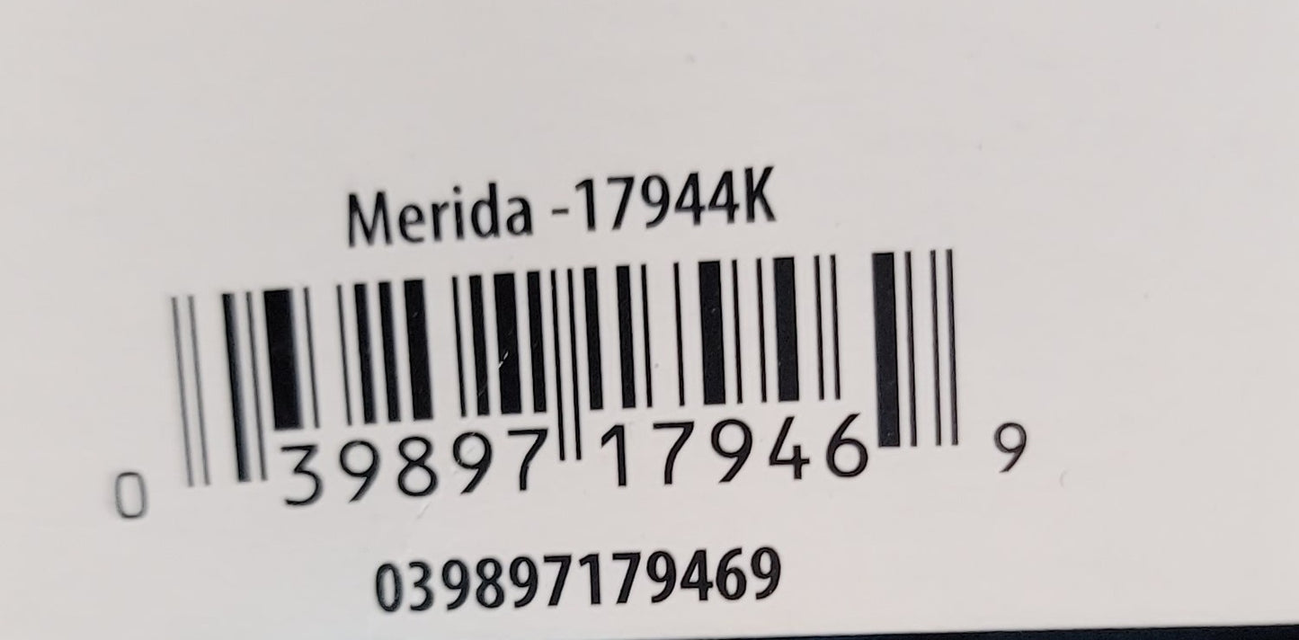 Merida Costume