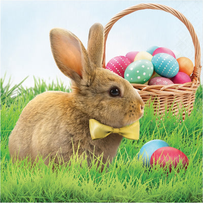 Easter Bunny And Basket Lunch Napkins