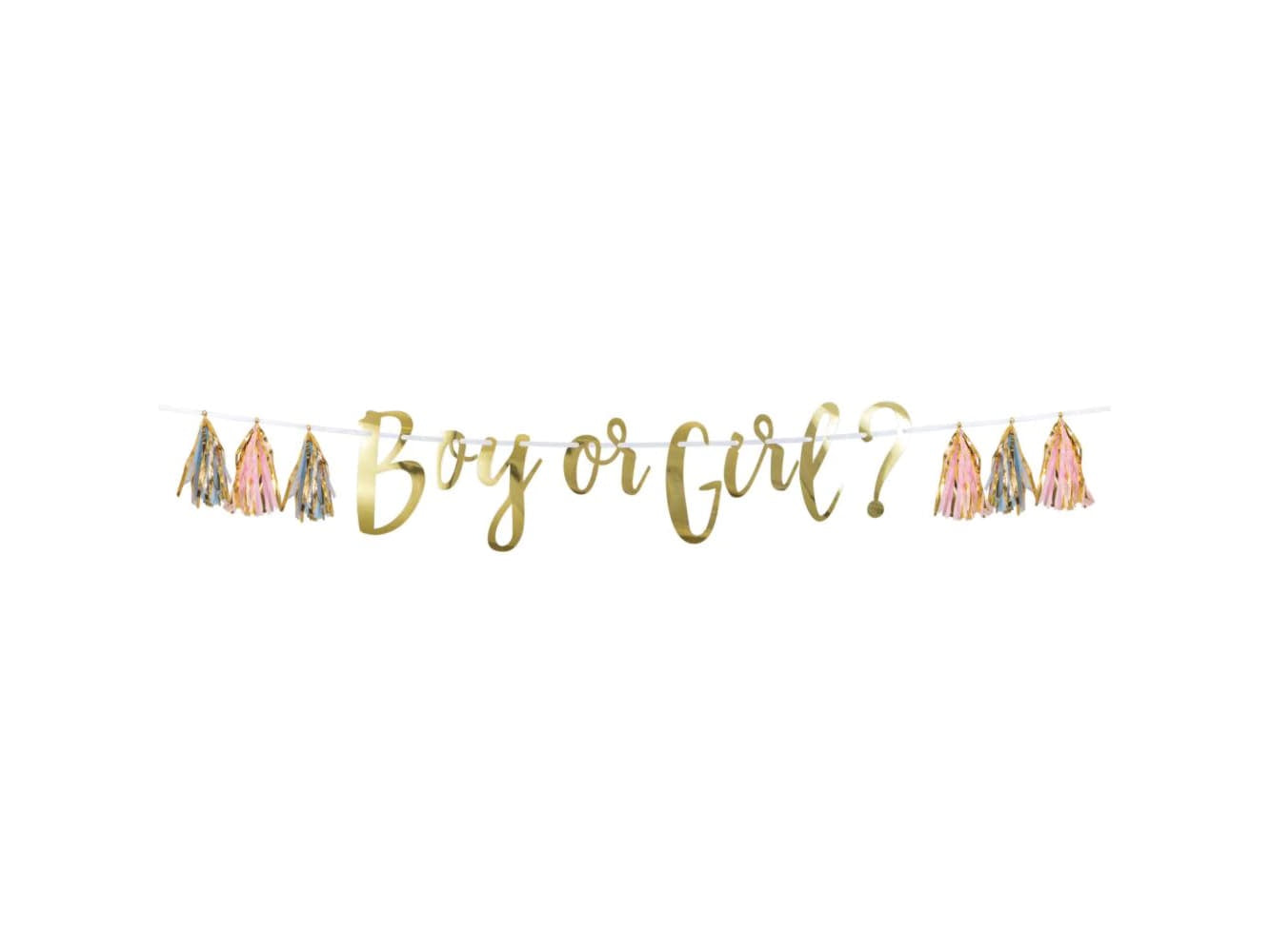 Boy Or Girl Tassel Banner