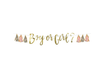 Boy Or Girl Tassel Banner