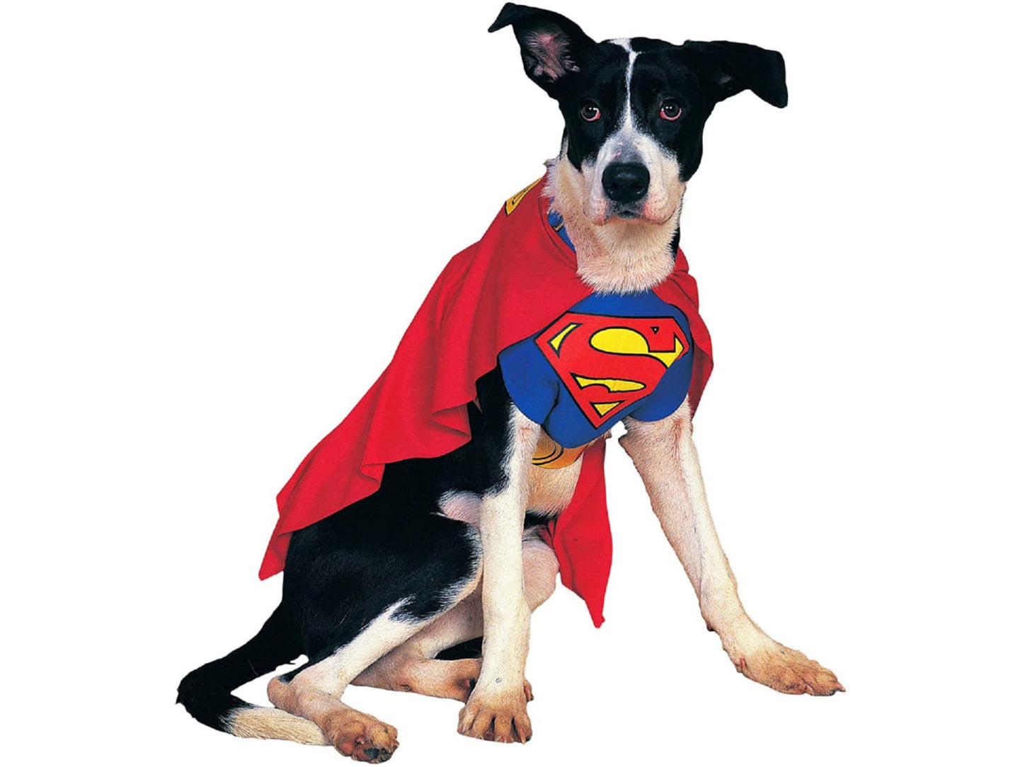 Surperman Dog Costume