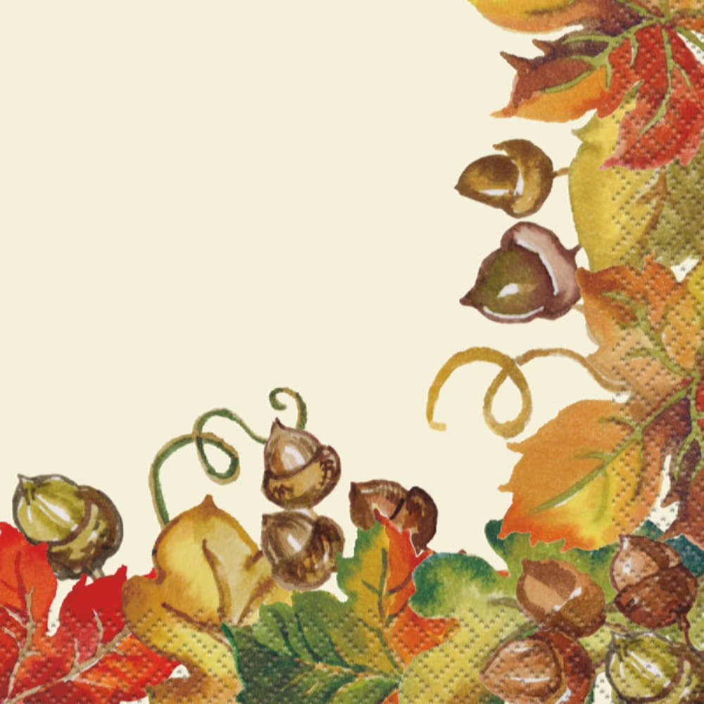 Harvest Pumpkins Beverage Napkins, 24Ct