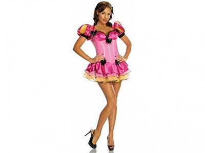 Adult Storybook Princess Costume - Xsmall/Disc