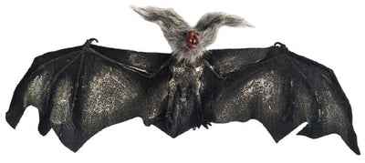 26In Hanging Bat