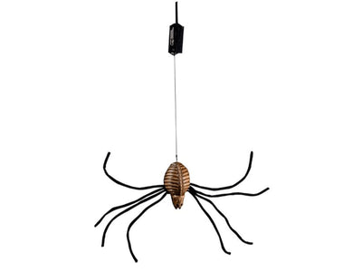 Drop-Down Spider