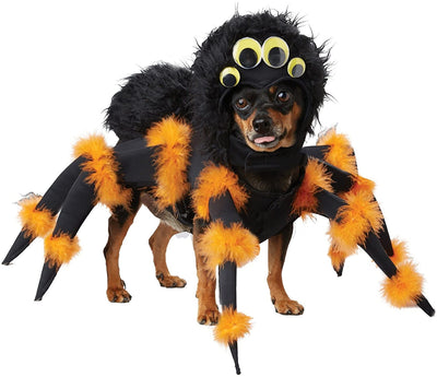 Spider Pup Pet Costume-Large