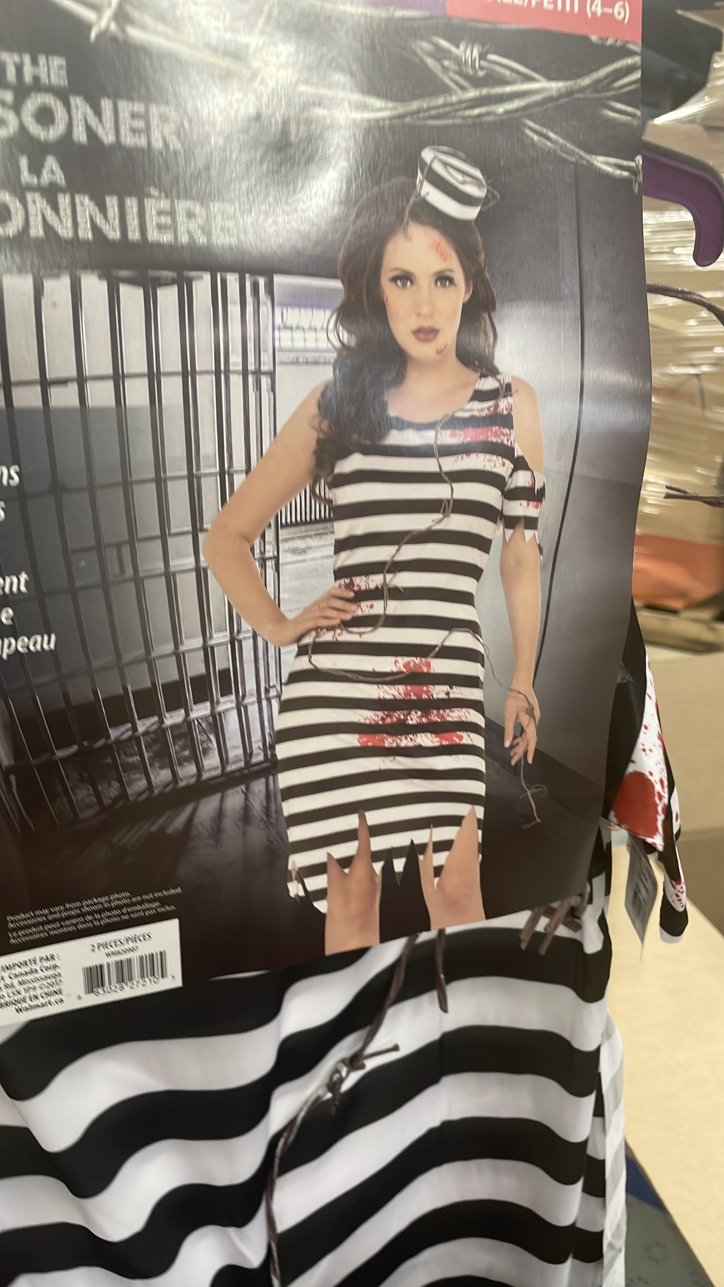 The prisoner (4-6 small)