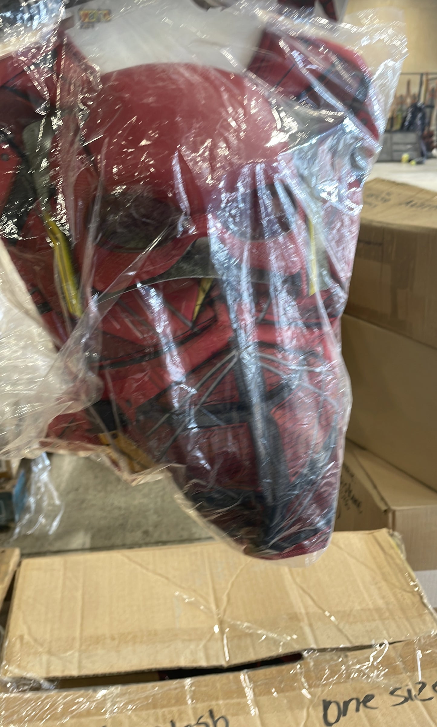 The Flash Justice League Deluxe Costume with Mask