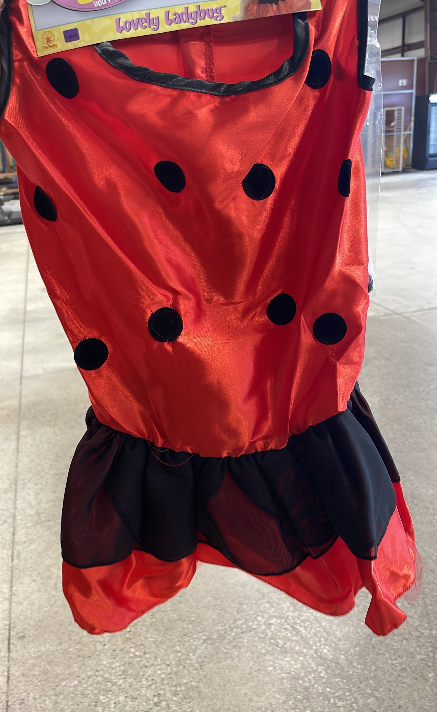Ladybug