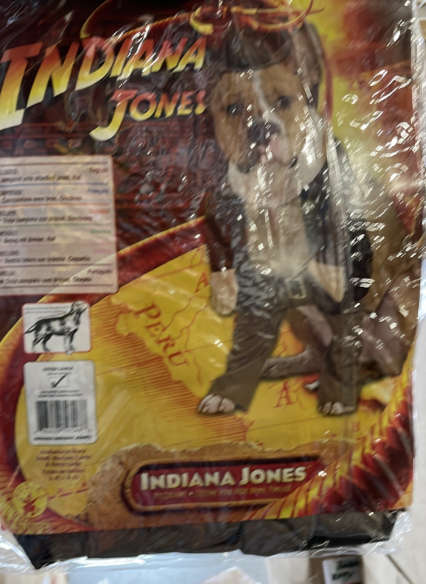Indiana jones