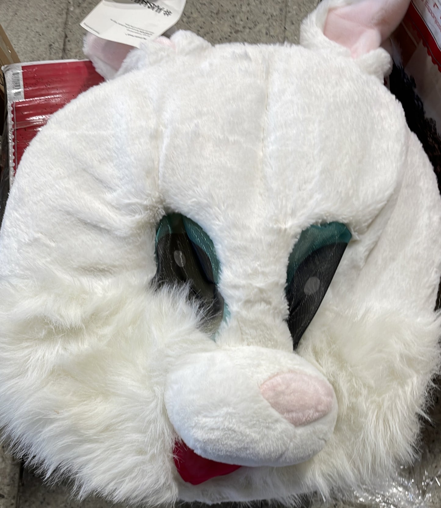 Bug bunny