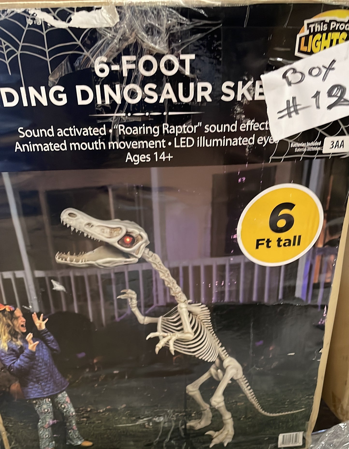 Standing Dinosaur Skeleton (6 Ft Tall)