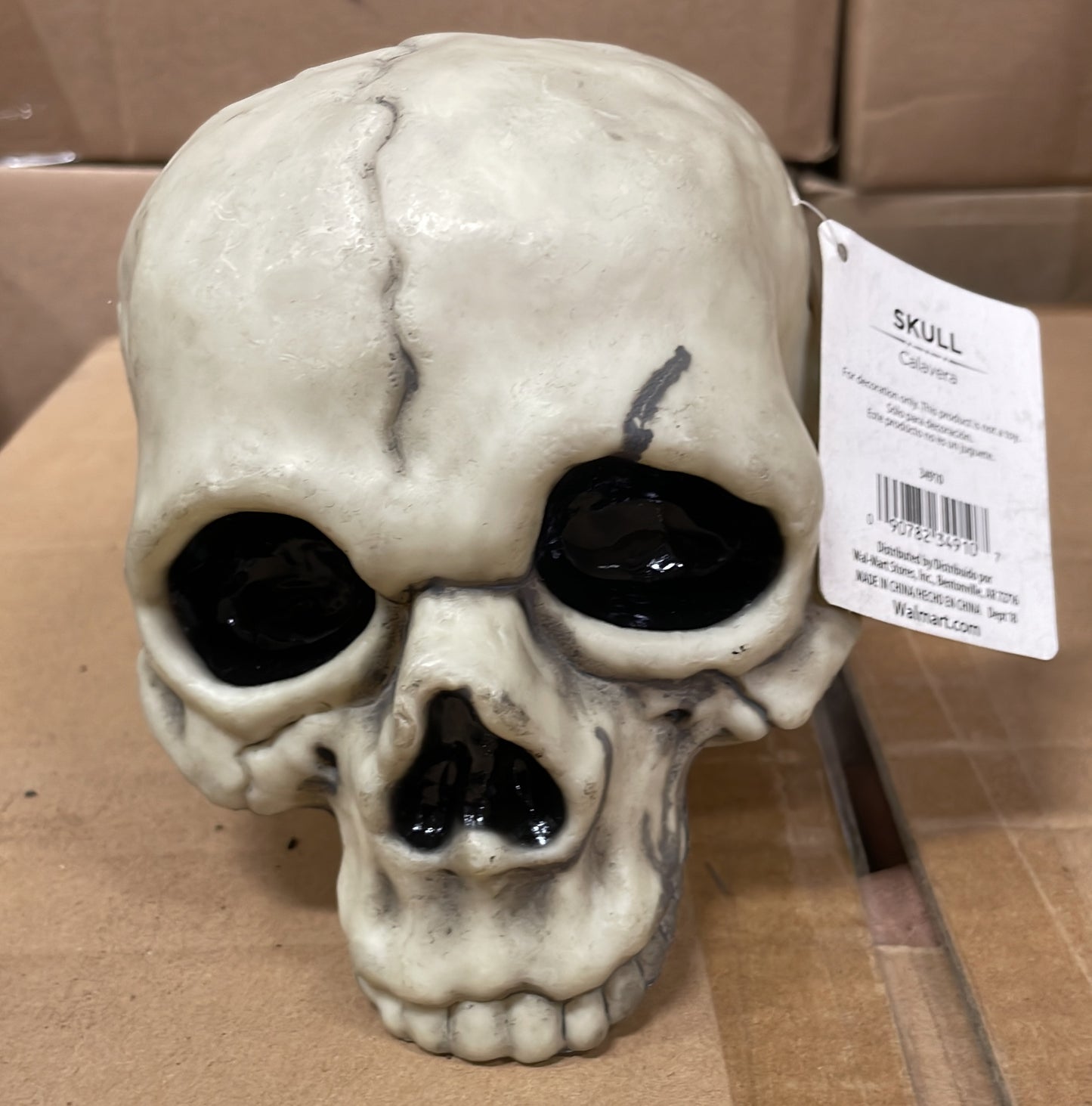 SKULL