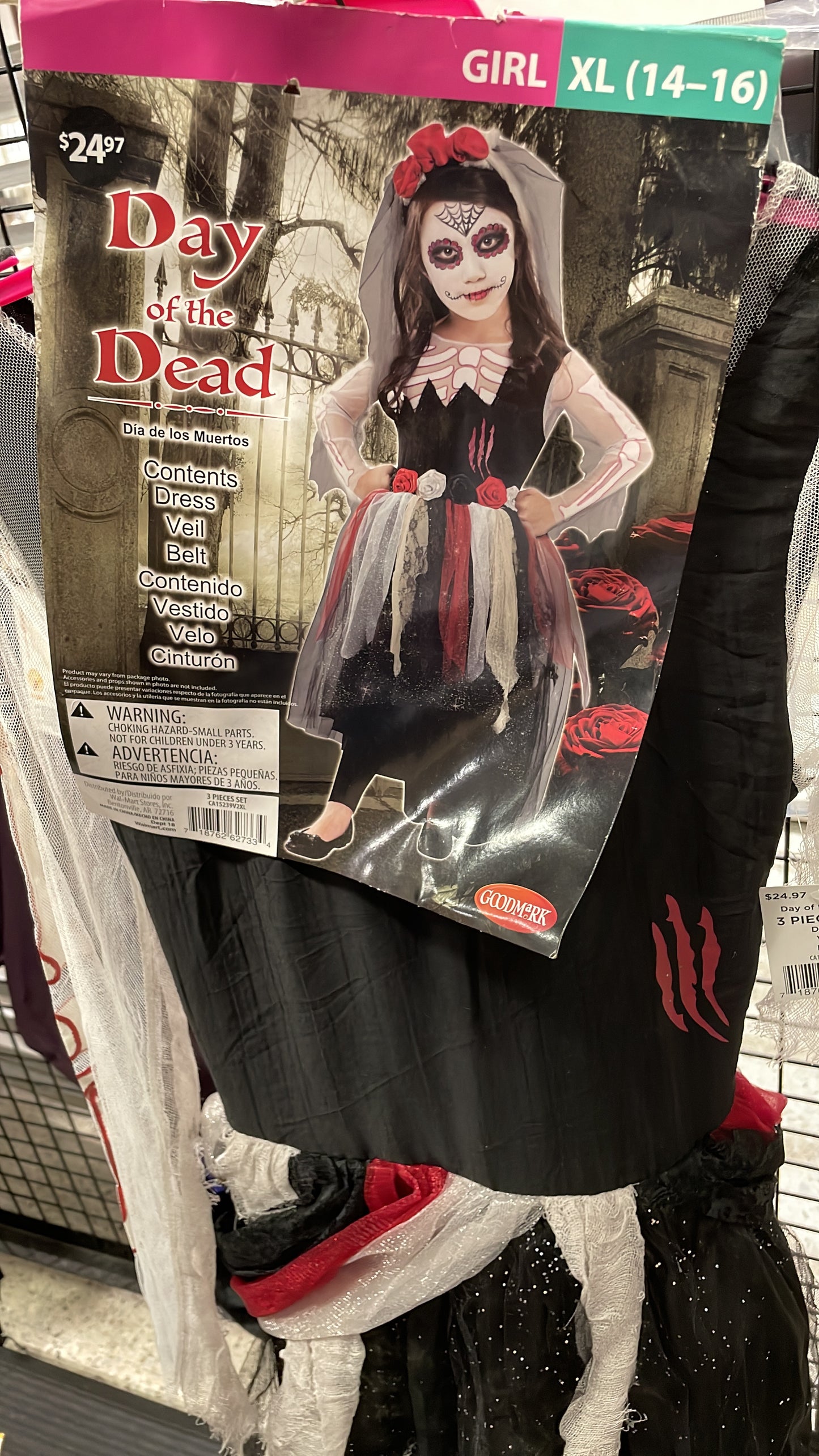 Day of the Dead XL(14-16)