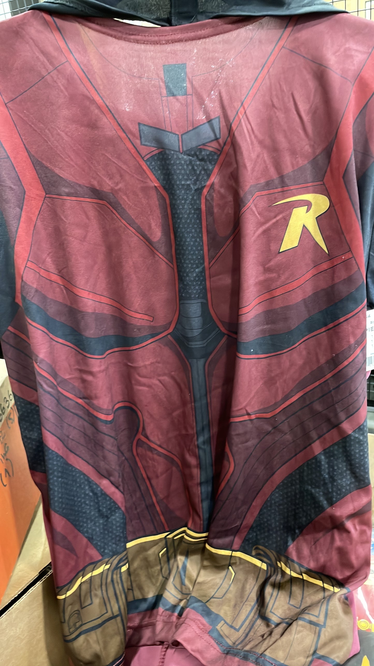 Robin 03084