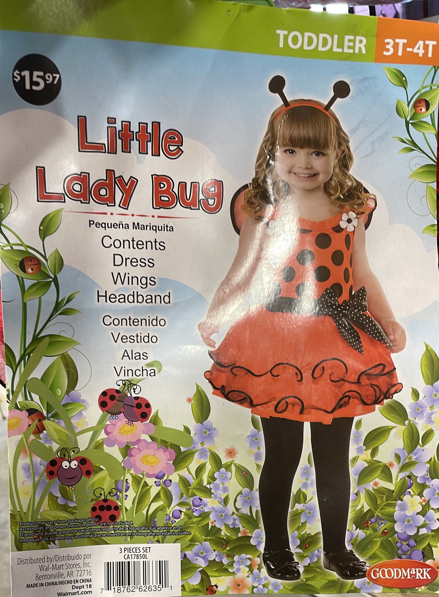 Little Lady Bug
